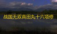 战国无双真田丸十六项修改器 风灵月影版